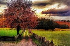 Luis J. Martínez Agulla camino en paisaje